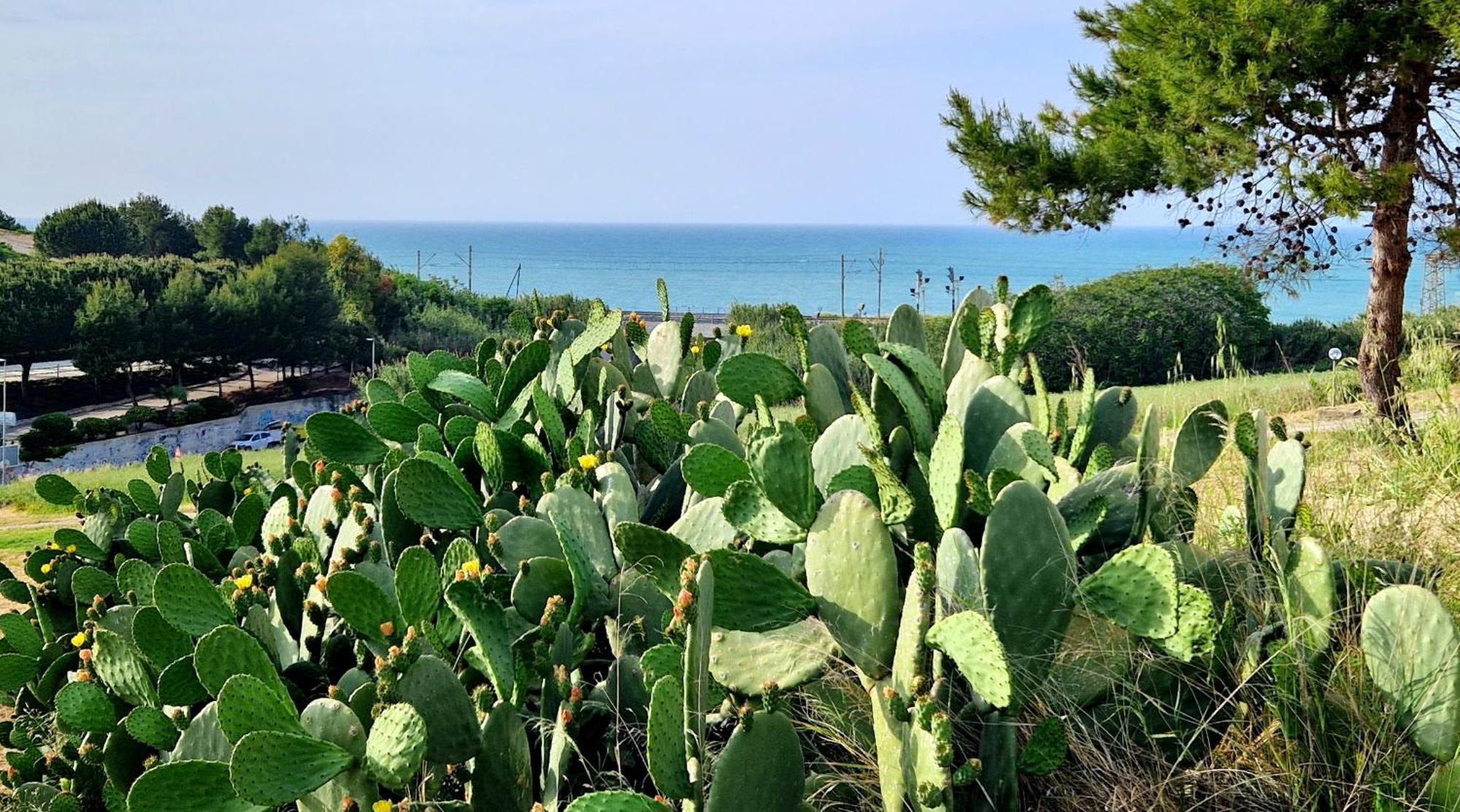Villa Via del Mare Termoli Esterno foto
